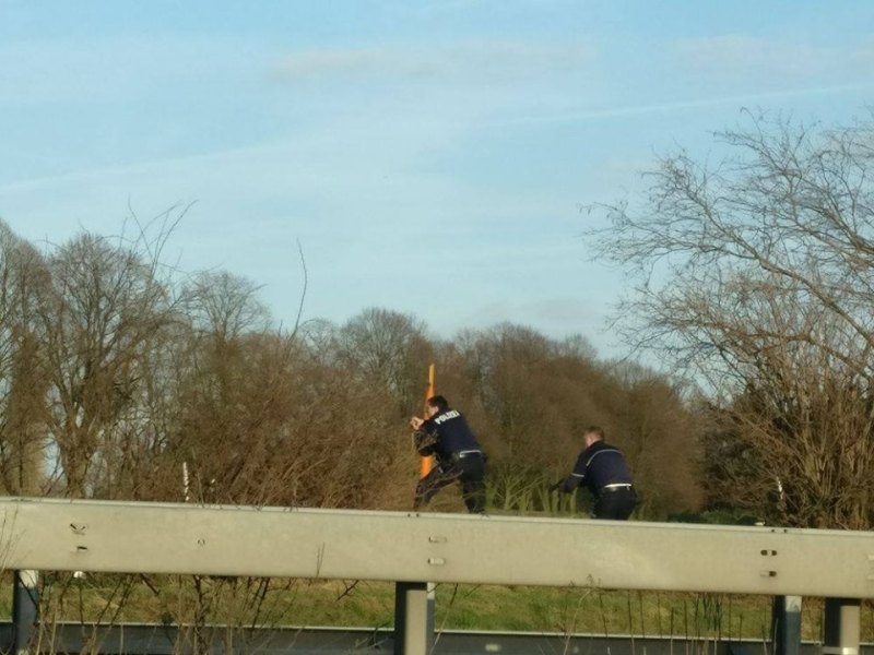 Polizei SEK A52 Gelsenkirchen Hassel Dorsten.jpg