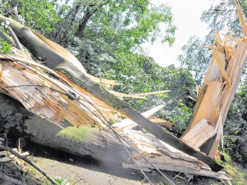 Rundgang nach dem Sturm.jpg