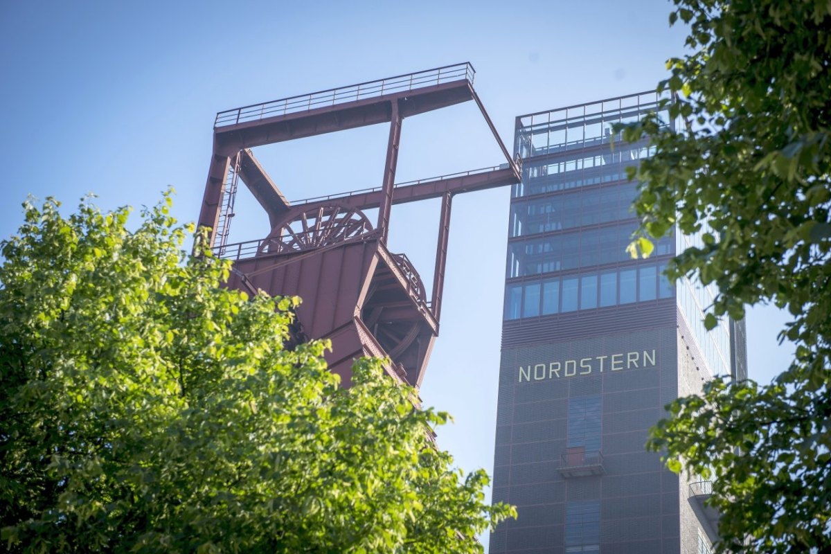 Vivawest Marathon.jpg