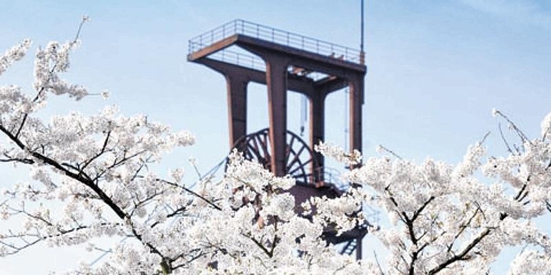 Zeche Zollverein Essen.jpg