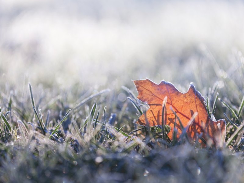 iStock-483785638 (1).jpg