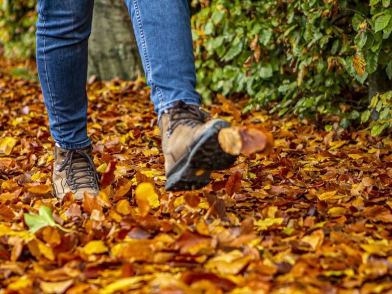 Frau läuft über Herbstlaub