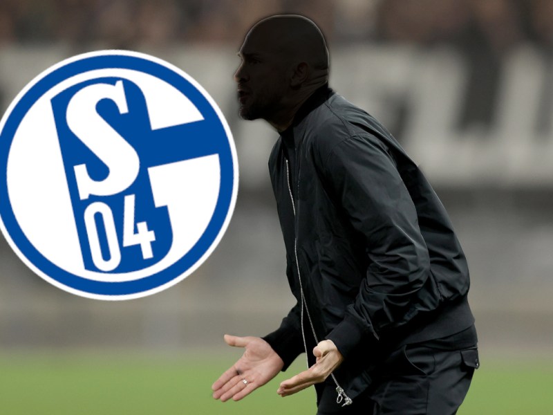 Christian Ilzer gestikuliert vor dem Wappen des FC Schalke 04.