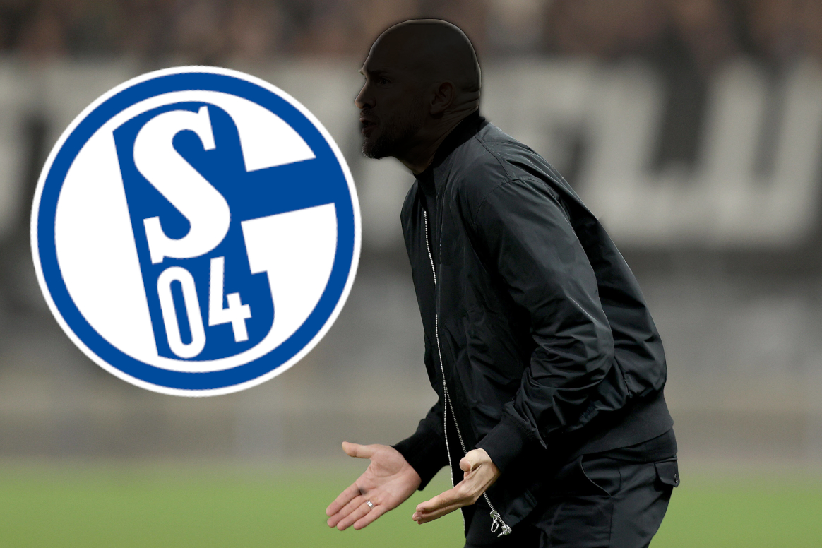 Christian Ilzer gestikuliert vor dem Wappen des FC Schalke 04.