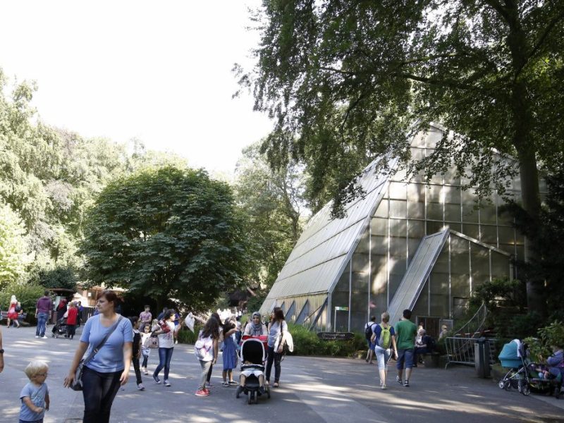 Zoo Dortmund Amazonas-Haus