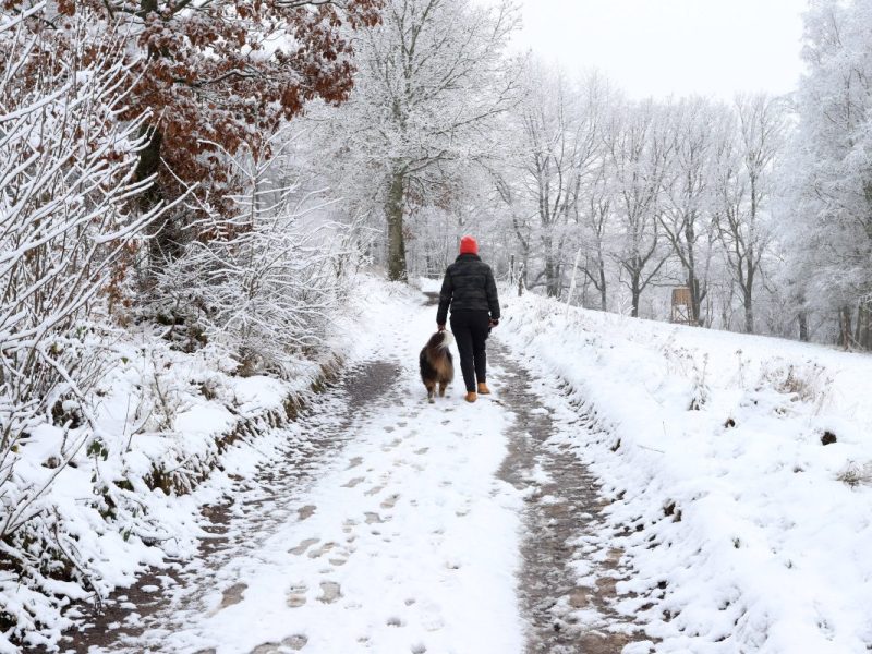 Wetter in NRW Schnee Wald Spaziergänger mit Hund