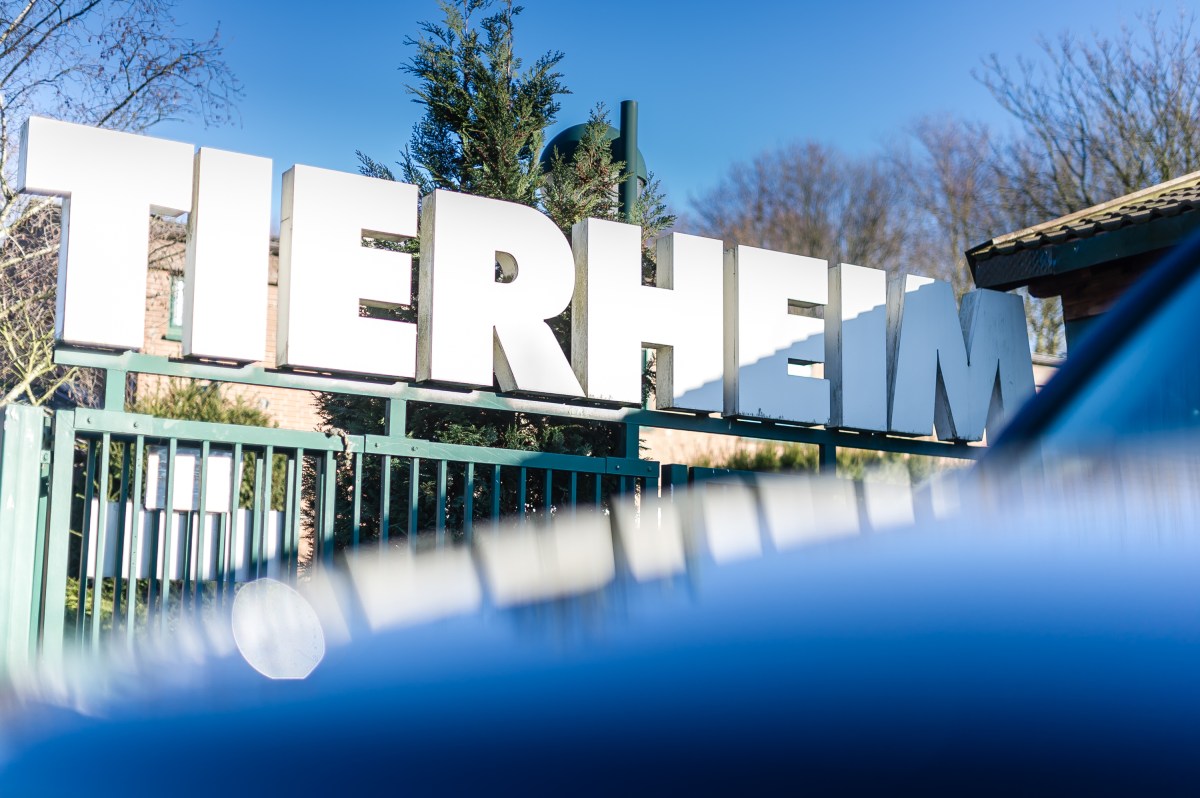 Tierheim