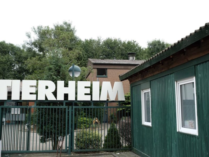 Tierheim Bochum