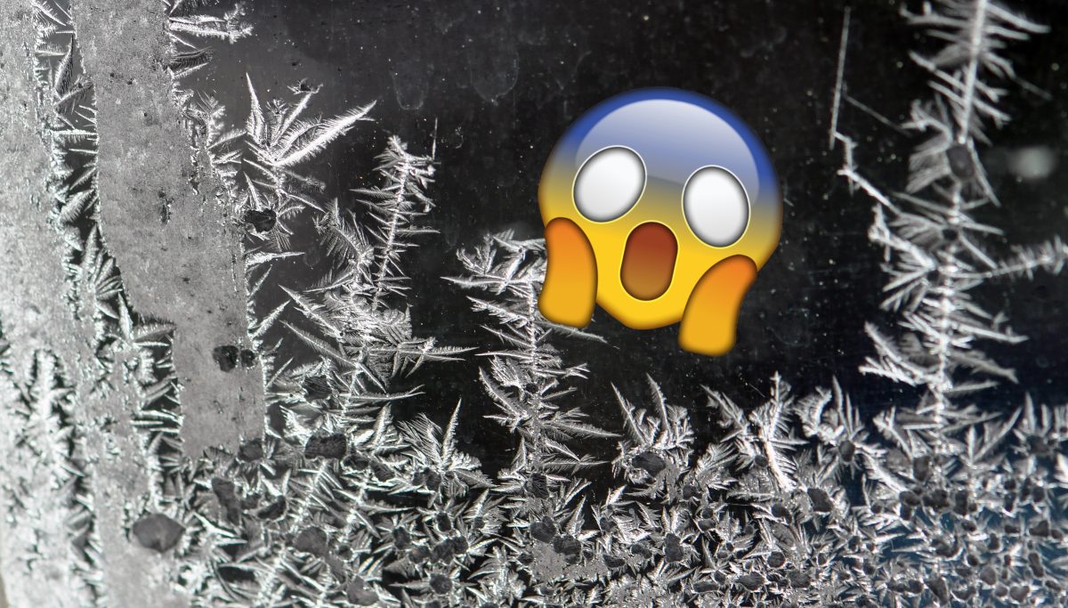 Wetter in NRW Eisblumen an Fenster