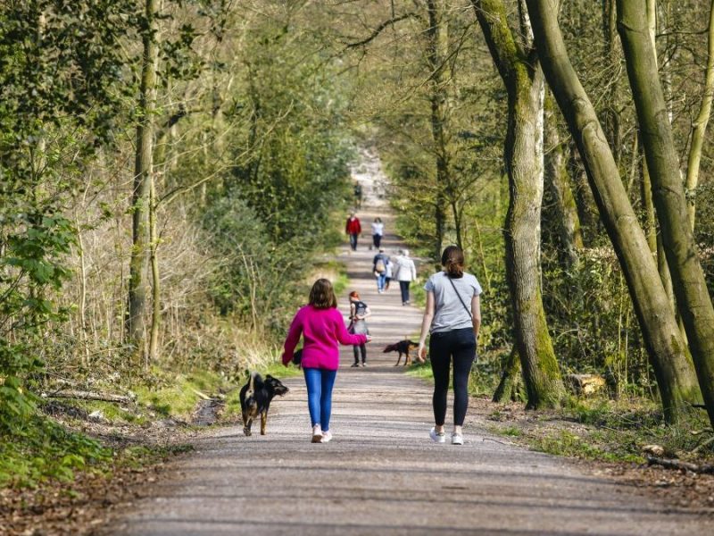 Frau mit Hund im Wald in Duisburg