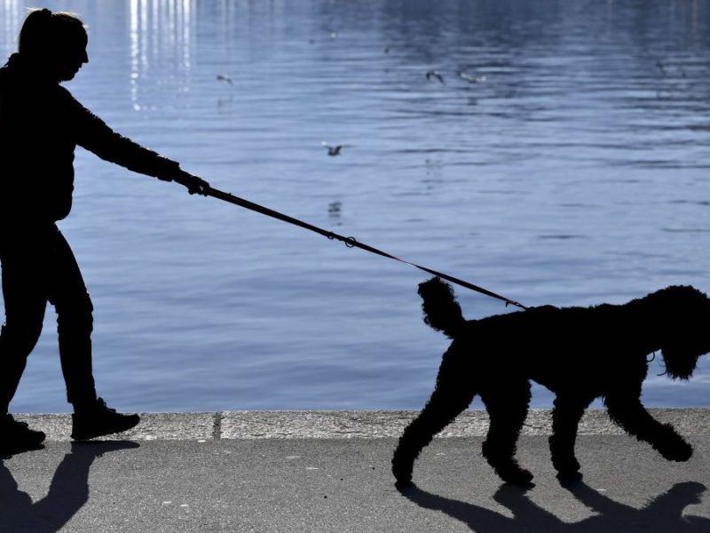 Frau läuft mit Hund an der Leine
