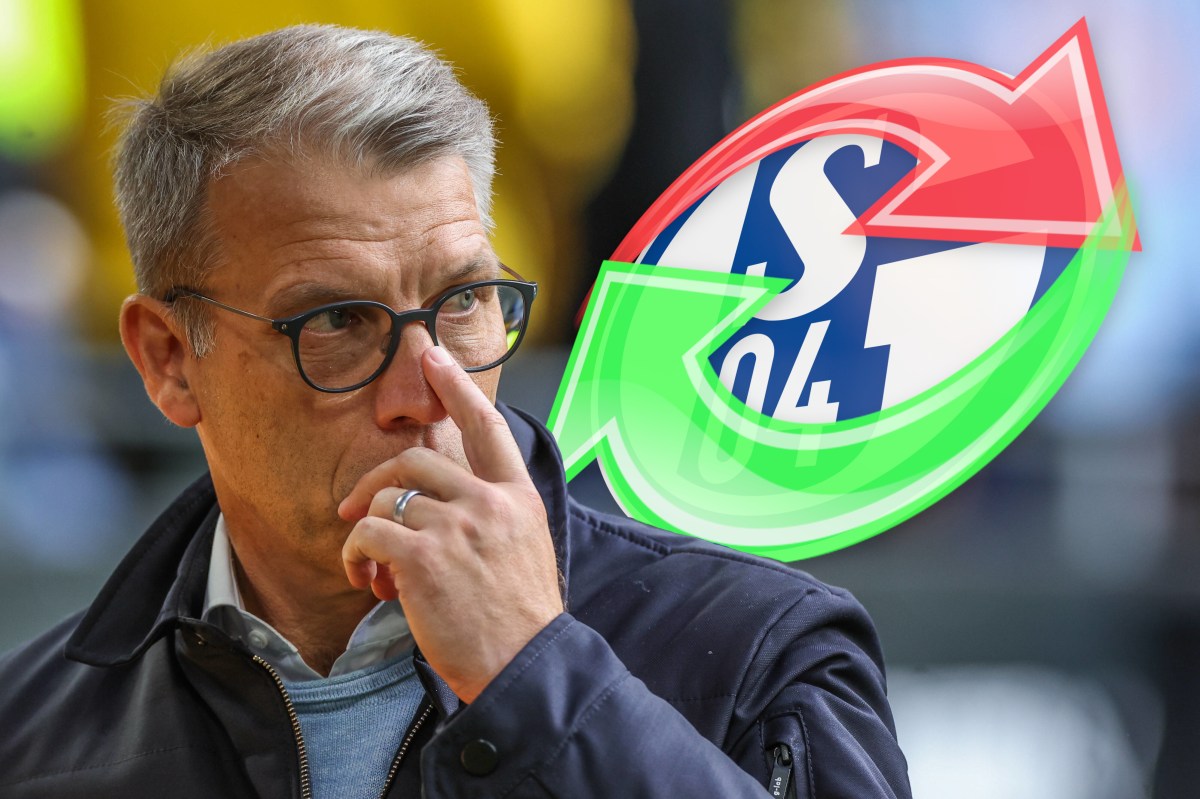 fc schalke 04 knäbel