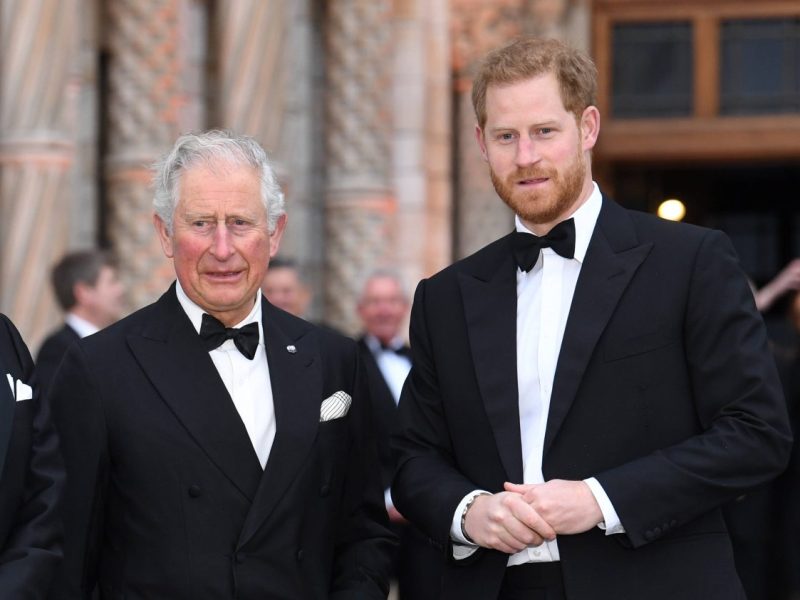 König Charles III. und Prinz Harry