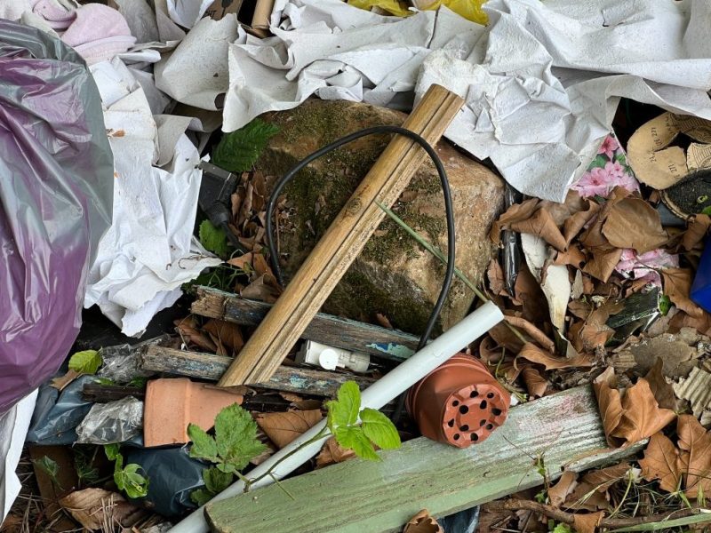 Müll liegt in der Natur