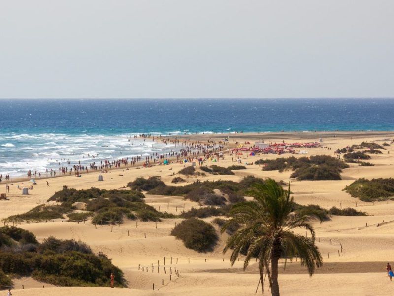 Aldi: Reisen über Discounter buchen? DAS könnte teuer werden!