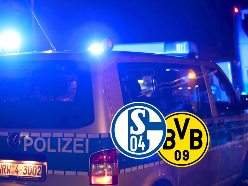 Schalke BVB