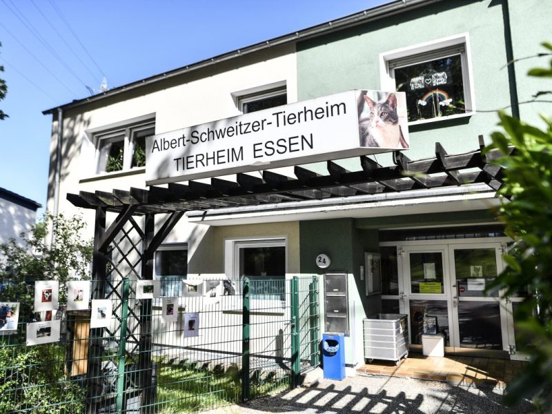 Tierheim Essen