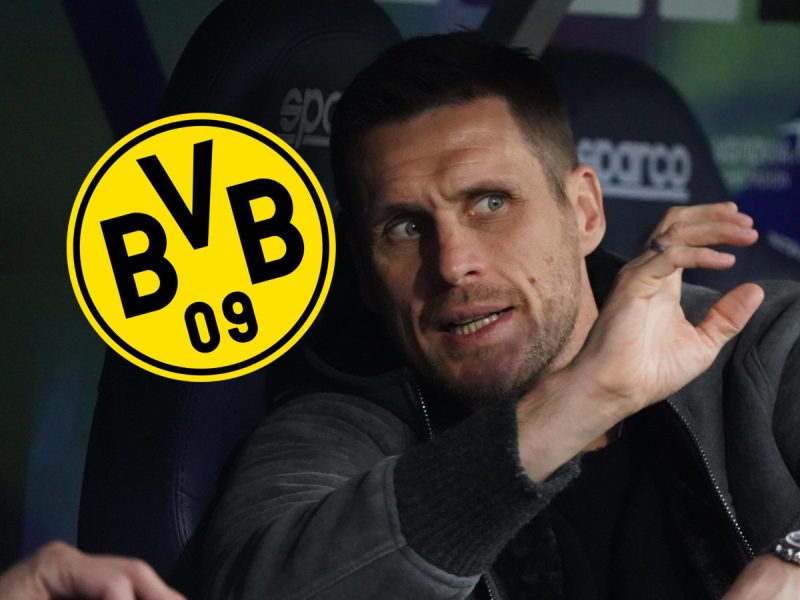 Borussia Dortmund: Sebastian Kehl eskaliert komplett.