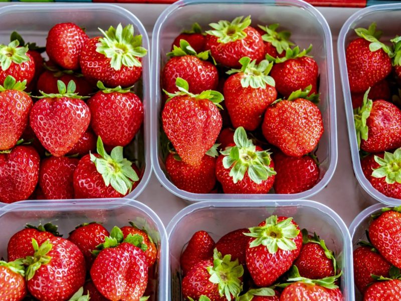 Aldi, Norma und Co.: Öko-Test lässt reihenweise Erdbeeren durchfallen.