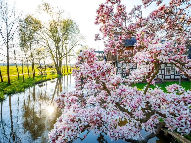 Das Wetter kann Anfang nächster Woche nochmal ganz anders aussehen. Ein Wetter-Experte nennt ein konkretes Datum, wann der große Umschwung kommen soll.