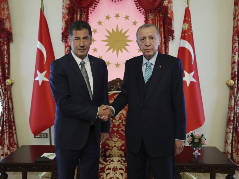 Am Sonntag stimmen die Menschen in der Türkei über neue Machtverhältnisse ab. Erdogan erhält Unterstützung von Ultranationalisten Ogan.