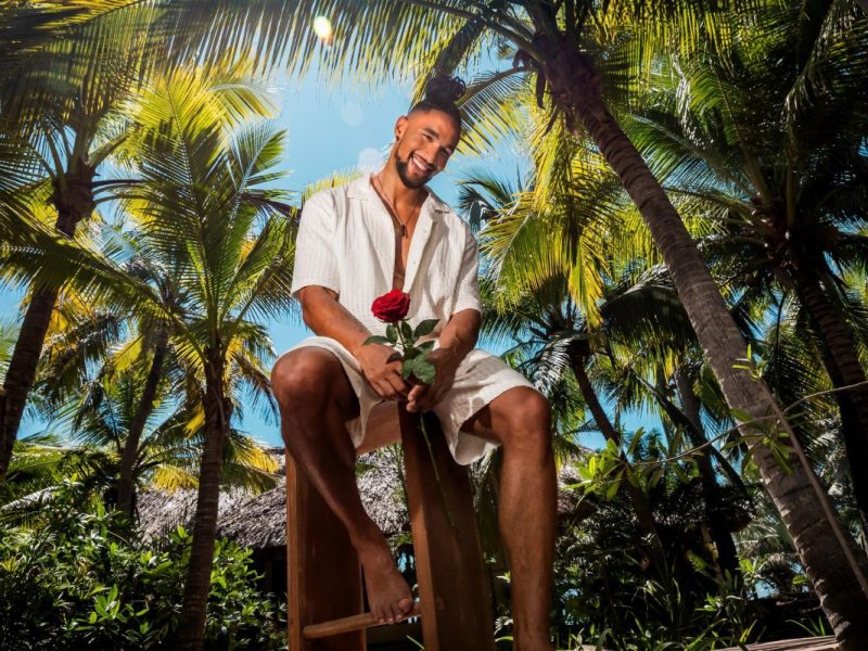 Der Bachelor: David vergibt die letzte Rose an SIE.