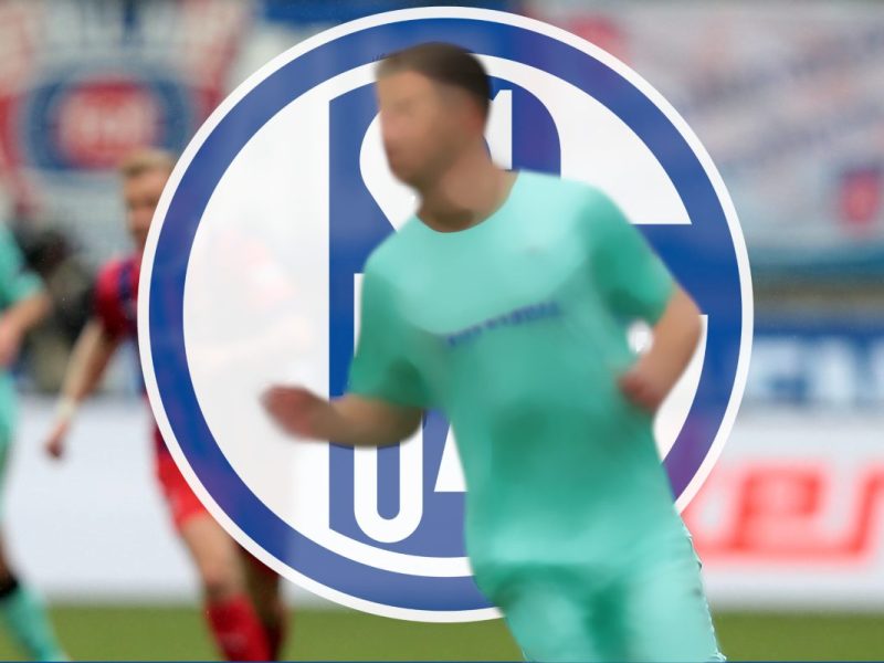 Der FC Schalke 04 darf sich über diese Sommer-Verstärkung freuen.