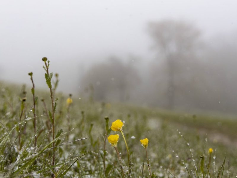 Wetter in NRW: Experten warnen vor Wetterphänomen.