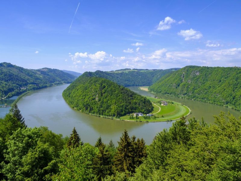Kreuzfahrt: An der Schlögener Donauschlinge wäre es beinahe zu einem Unglück gekommen.