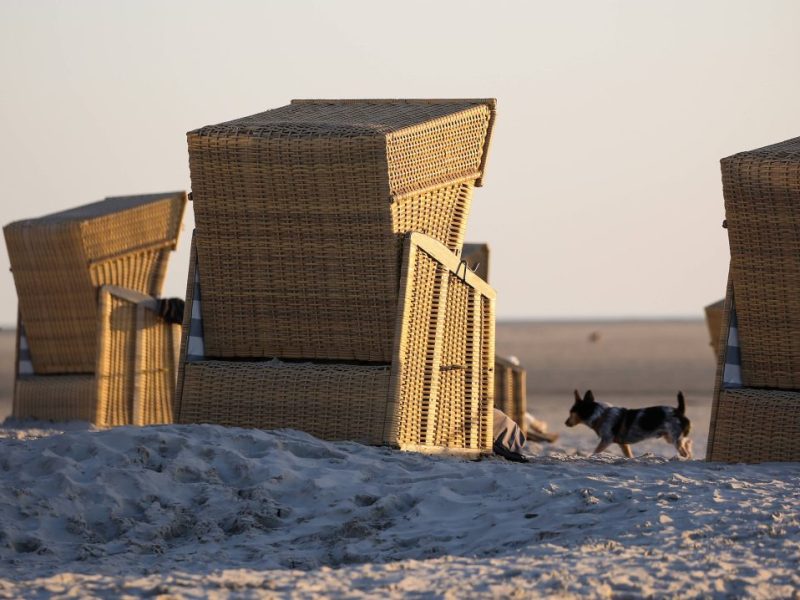 Urlaub an der Nordsee: Touristin fällt vom Glauben ab. Das kann ja wohl nicht wahr sein!