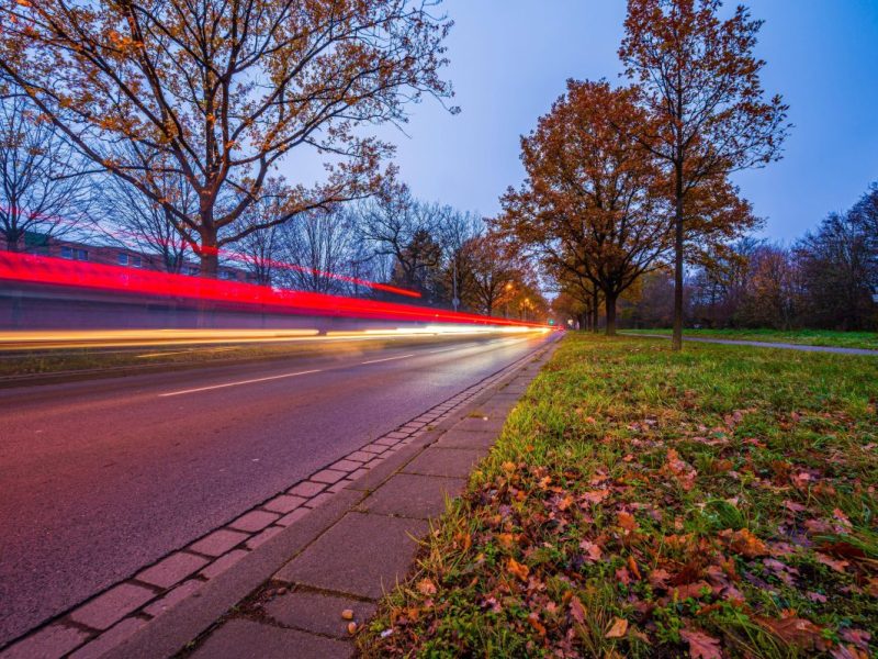 Tierheim in NRW: Grausiger Fund schockt Tierfreunde.