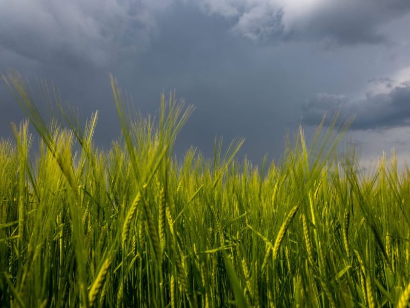Wetter in NRW, wieso, grauer wolkenverhangener Himmel