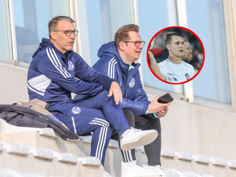 Fans von FC Schalke 04 haben einen Spieler ins Auge gefasst.