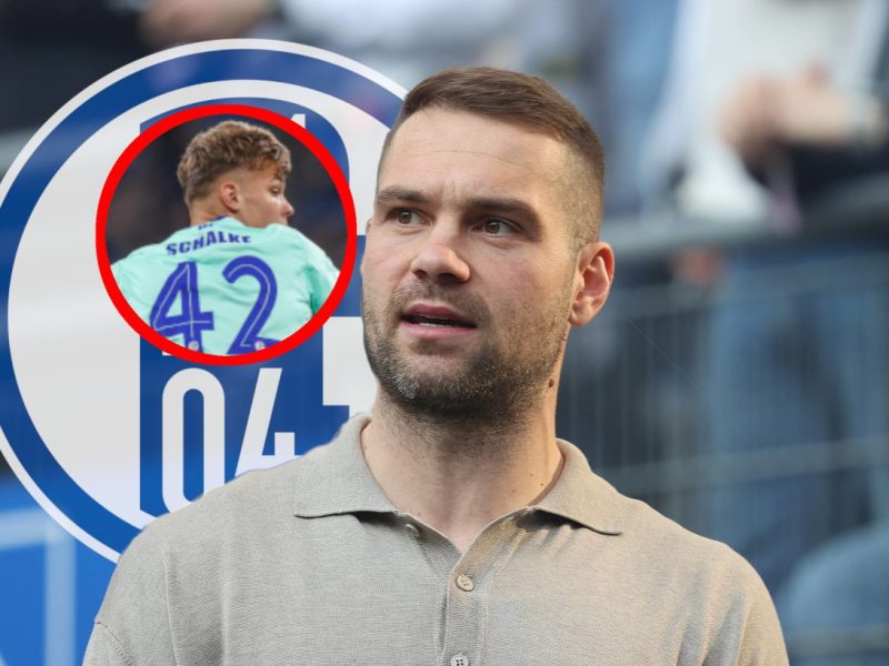 Pierre-Michel Lasogga kommt zum FC Schalke 04 - was wird aus Juwel Keke Topp?