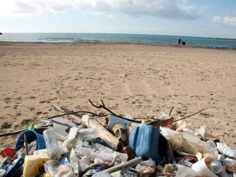 Urlaub auf Mallorca, DJ, Müllproblem, Ballermann