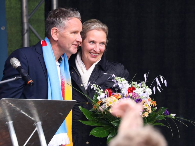 2025 will die AfD zum ersten mal einen Kandidaten fürs Kanzleramt ins Rennen schicken. Käme tatsächlich einer ins Amt, würden Millionen auswandern wollen.