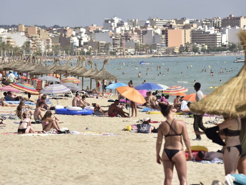 Auf Gran Canaria, Mallorca und Ibiza wurden Haie gesichtet. Experten machen sich bislang aber noch keine Sorgen.