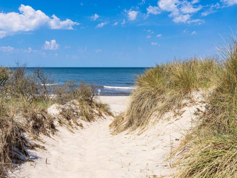 Urlaub an der Ostsee: Giftschlamm Badeverbot