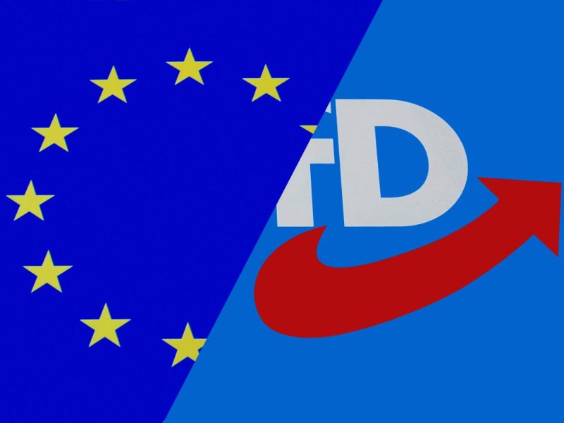 Die AfD wird vom Verfassungsschutz als rechtsextremistischer Verdachtsfall eingestuft. Und auch andere rechte Parteien in der EU wenden sich ab.