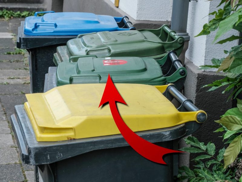 Eine Mülltonne in Dortmund wurde einem Vogel zum Verhängnis.