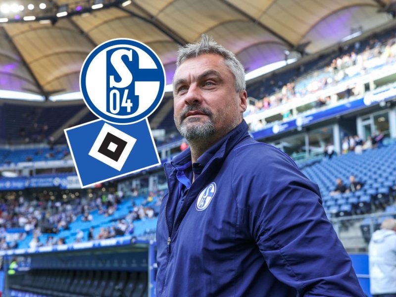 Bei Hamburger SV - FC Schalke 04 sorgt Thomas Reis für einen Hammer.