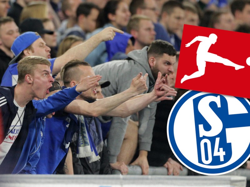 schalke-dfl
