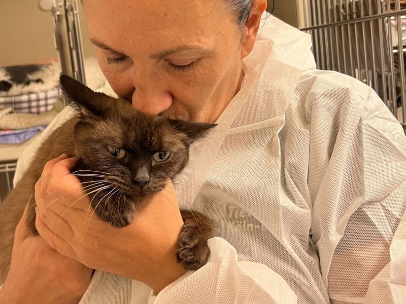 Tierheimmitarbeiterin küsst Katze