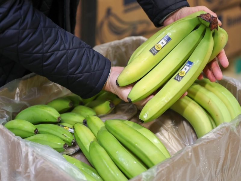 Ein Edeka-Mitarbeiter macht in der Bananenkiste einen überraschenden Fund. (Symbolfoto)