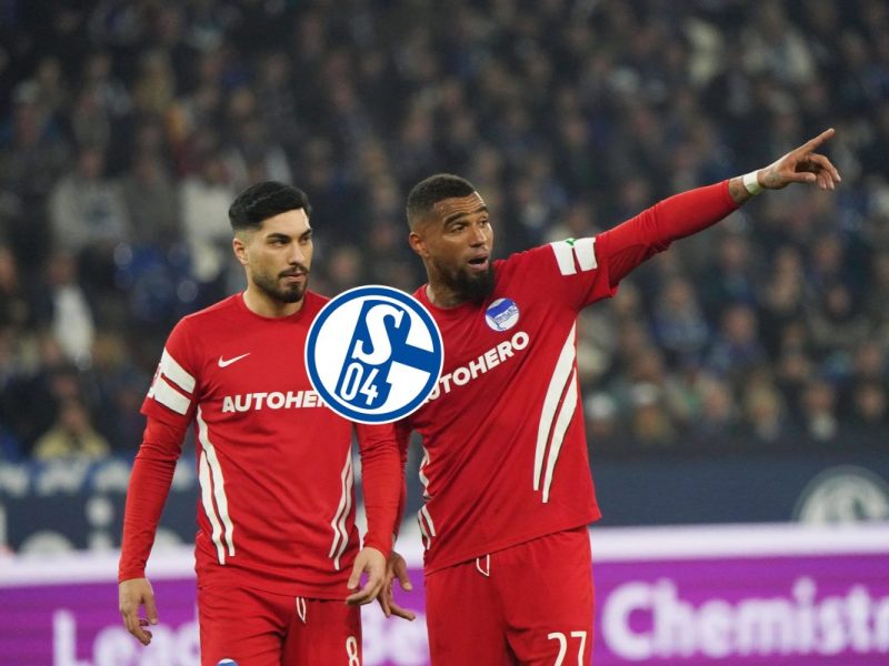 Spielten einst beide beim FC Schalke 04: Suat Serdar und Kevin-Prince Boateng.