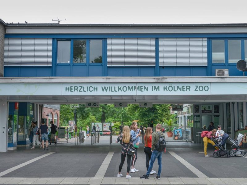 Vor dem Haupteingang des Kölner Zoos kam es zu Protesten von der Tierschutzorganisation Peta.