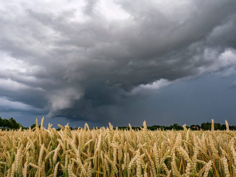 wetter nrw gewitter