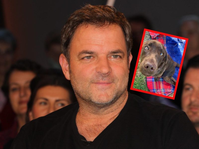 Martin Rütter Freeda