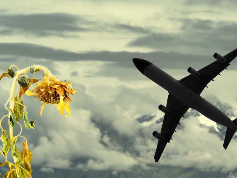 Klimakrise: So schädlich sind Inlandsflüge für die Natur.