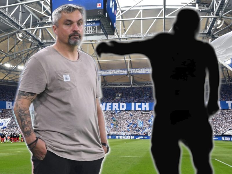 Setzt Thomas Reis beim FC Schalke 04 auf IHN?